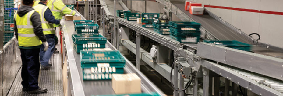 Tote conveyor system