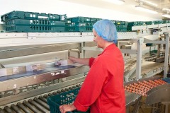Axiom GB's conveyor system at Tamar Foods